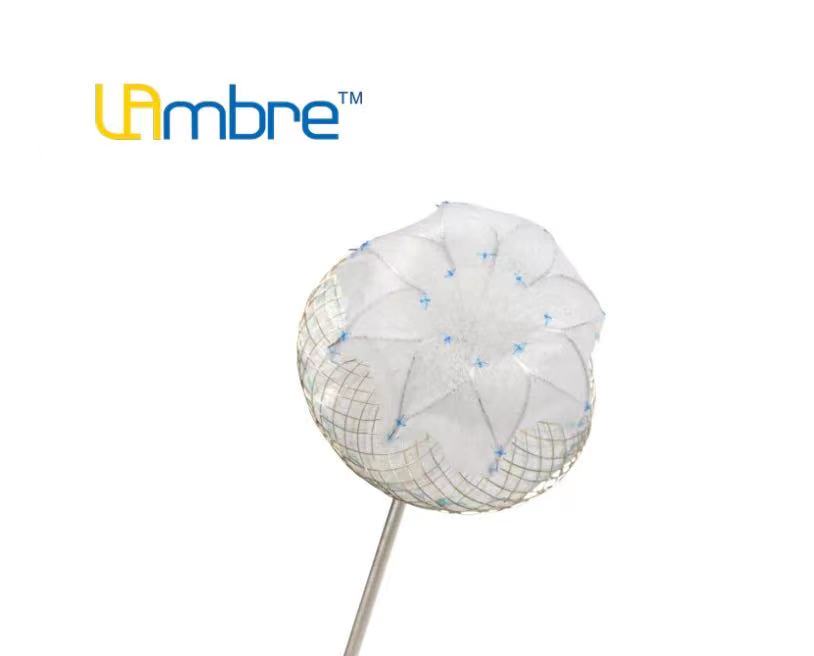荣耀时刻 | 先健科技lambre左心耳封堵器系统喜获2020中国工程院好