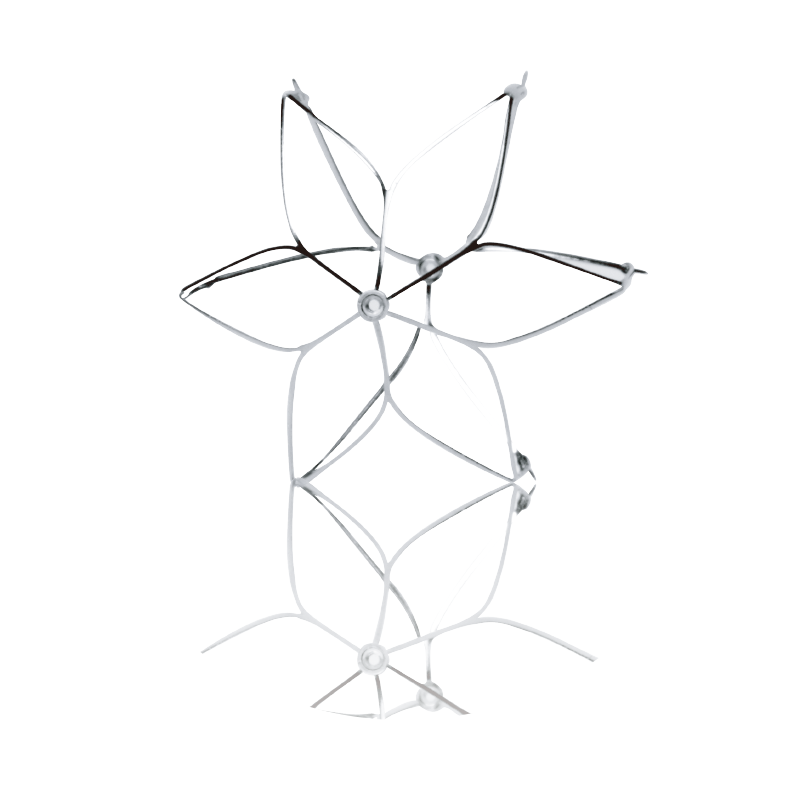 Aegisy Vena Cava Filter