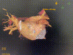 640 (1).gif 640 (1).gif